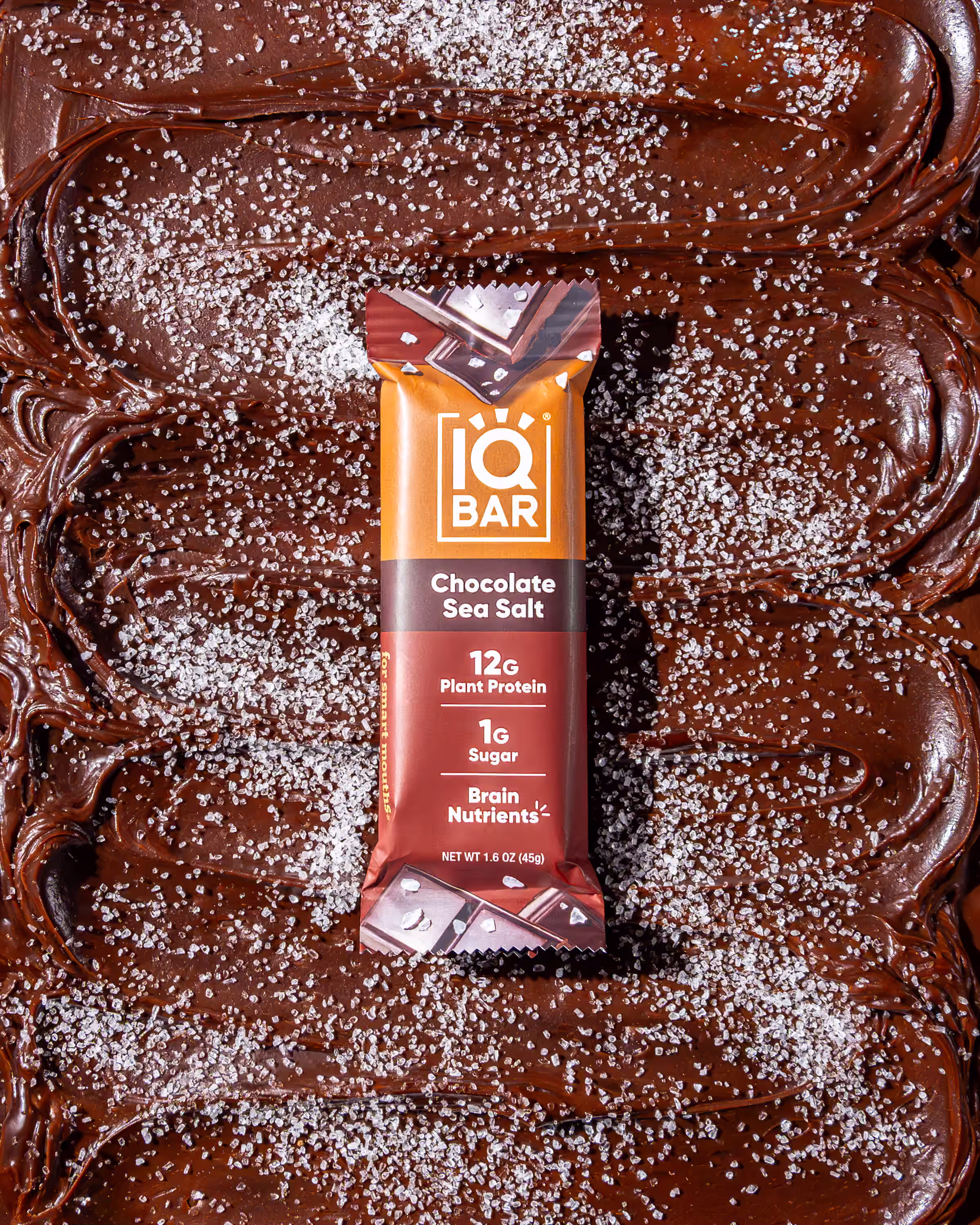 IQ Bar Chocolate Sea Salt protein bar resting on swirled melted chocolate with scattered sea salt flakes in an overhead product photograph